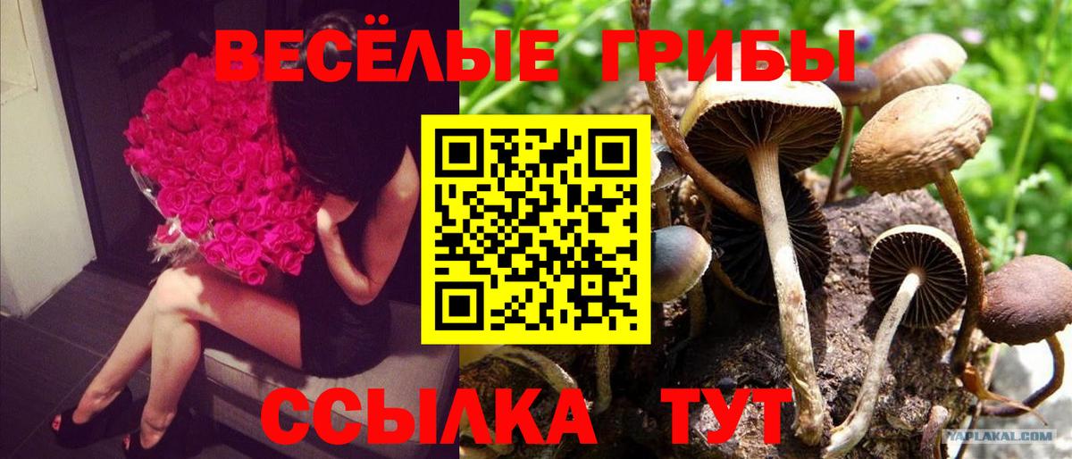 Галлюциногенные грибы мицелий Кудрово