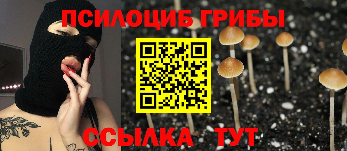 Псилоцибиновые грибы Cubensis  Вход с VPN  Кудрово 